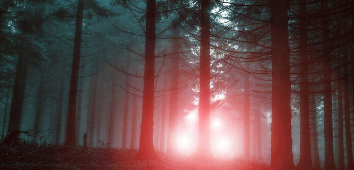 The,Dark,Forest,Background,Of,Nature.,Ufo,Light,In,Backround