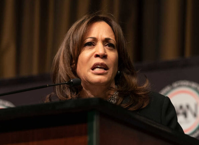 New,York,,Ny,-,April,5,,2019:,Democratic,Presidential,Candidate