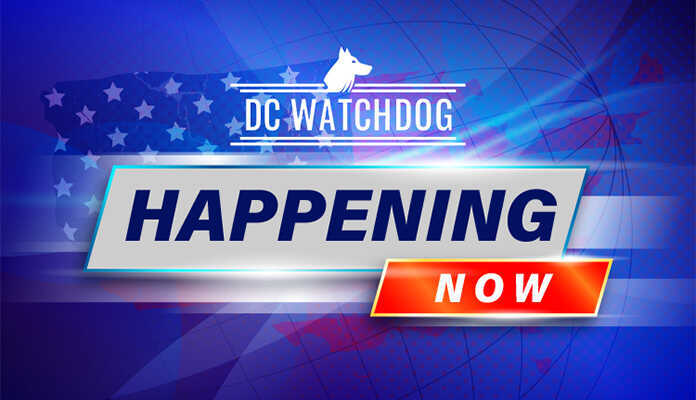 Created by artist featured image DC Watchdog Happening Now
