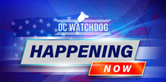 DC Watchdog Happening Now