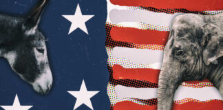 Donkey and elephant on American flag background.