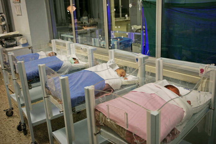 Five sleeping newborns in hospital bassinets.