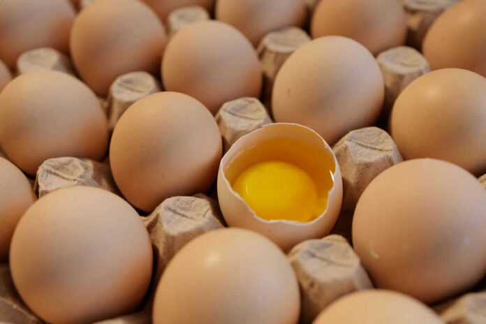 shutterstock_2509408105.jpg Eggs in carton one cracked revealing yolk