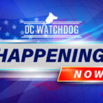 DC Watchdog Happening Now