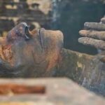 Close-up of an ancient mummy displayed in a glass case