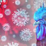Blue chicken surrounded by virus-like structures.