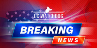 DC Watchdog Breaking News