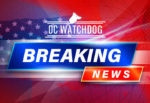 DC Watchdog Breaking News