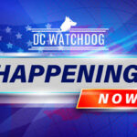 DC Watchdog Happening Now