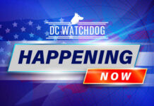 VIDEO: Governor’s Team Saves Star from Fiery Crash DC Watchdog Happening Now