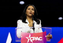 Tulsi Gabbard