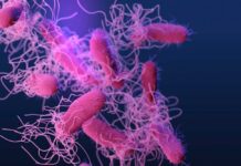 Illustration of bacteria with long flagella against a colorful background