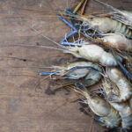 A pile of fresh shrimp on a wooden surface