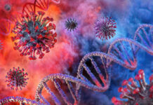 Coronavirus particles and DNA strands in a colorful background.