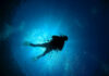 Tiny Underwater Creature Shocks Scientists! Scuba diver underwater with sun rays filtering through.
