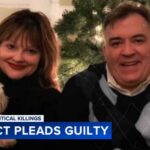 Man pleads guilty to assassinating top Minnesota Democrat, husband