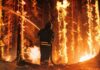 Firefighter battling a raging forest wildfire at night
