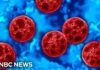Salad Parasite Turns Deadly Michigan reports two deaths linked to cyclosporiasis outbreak