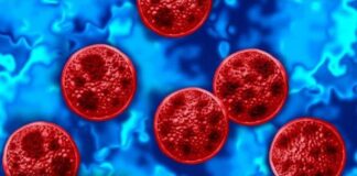 Michigan reports two deaths linked to cyclosporiasis outbreak