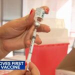 FDA approves Moderna's mRNA seasonal flu vaccine