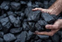 Hands holding several pieces of black coal against a background of more coal