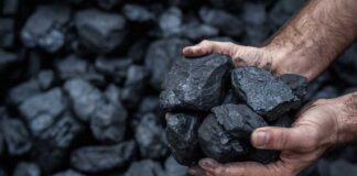 Hands holding several pieces of black coal against a background of more coal