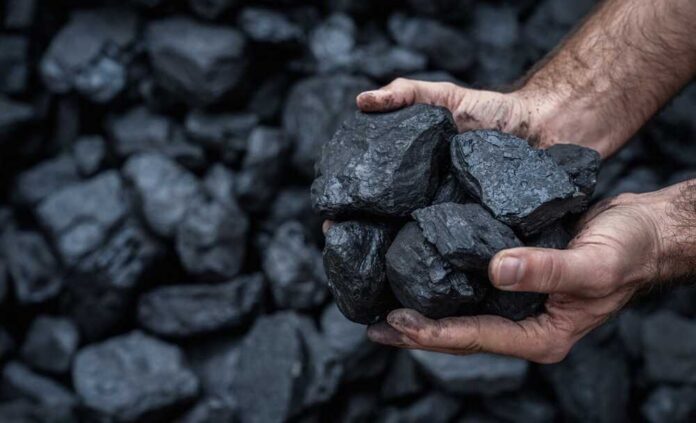 Close,Up,Of,Human,Hands,Holding,Pile,Of,Coal,With Hands holding several pieces of black coal against a background of more coal