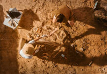 Two individuals excavating fossils at an archaeological site