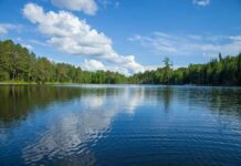 A tranquil lake surrounded by trees under a blue sky with fluffy clouds