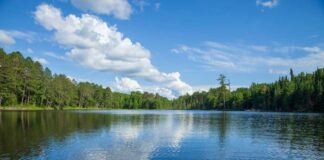 A tranquil lake surrounded by trees under a blue sky with fluffy clouds