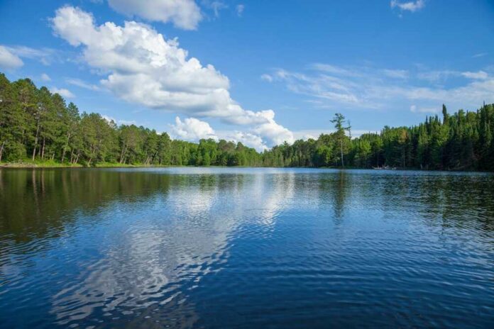 Small,Blue,Lake,In,Northern,Minnesota,On,A,Balmy,Summer A tranquil lake surrounded by trees under a blue sky with fluffy clouds