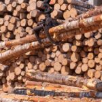 Shock Upset Bid: Logger Targets Republican Heavy machinery lifting logs in a lumber yard