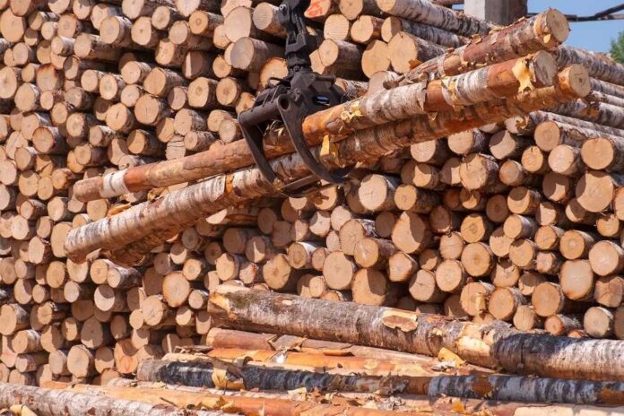 Heavy machinery lifting logs in a lumber yard