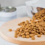 Dry pet food kibble spilling from a pouch onto a wooden board