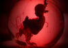 Silhouette of a fetus inside a glowing red orb.