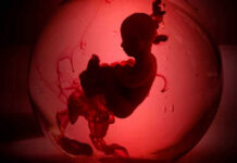 Silhouette of a fetus inside a glowing red orb.