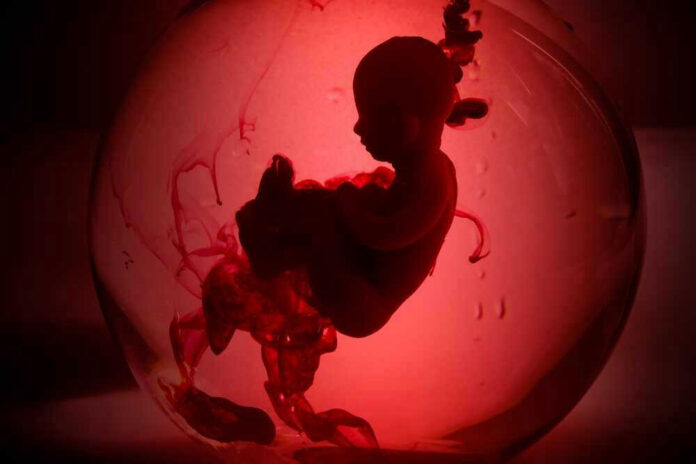 shutterstock_2178695467 Silhouette of a fetus inside a glowing red orb.